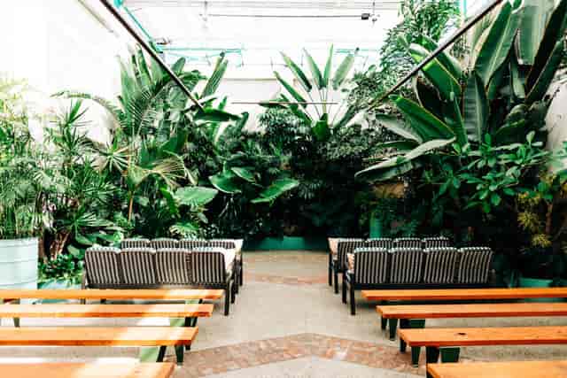 "Valentine DTLA event space with lush greenery for workshops and networking."
