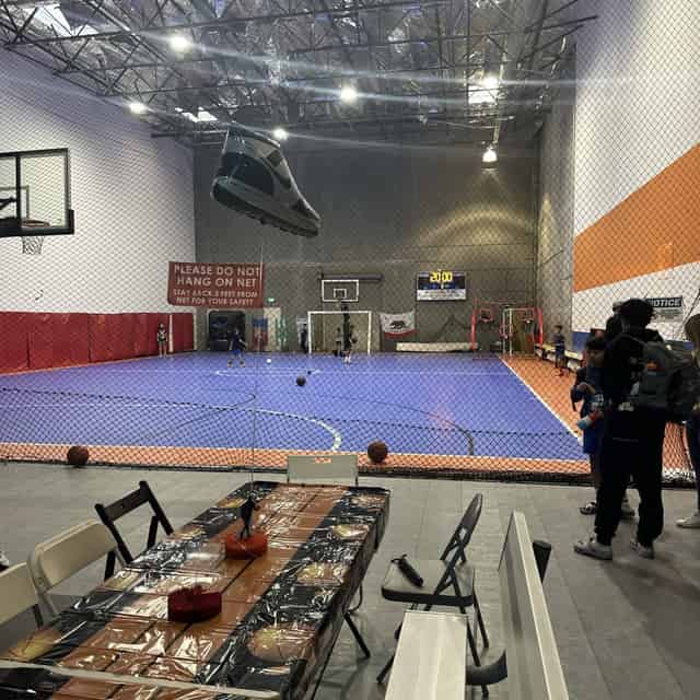 Badminton/Volleyball Court