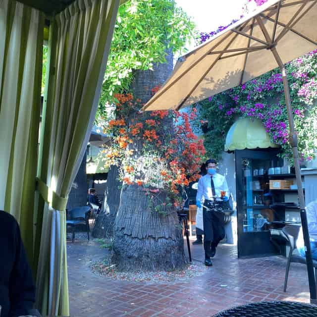 Wrap-around Patio