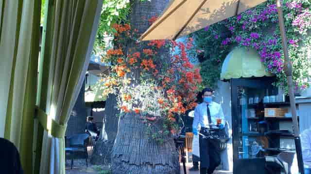 Wrap-around patio at Ca' Del Sole, vibrant outdoor event space with lush greenery.