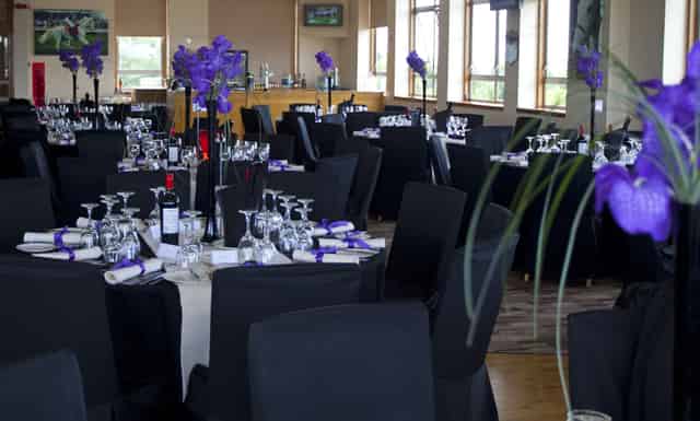 Desert Orchid Suite