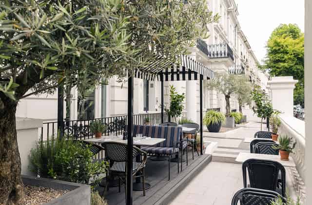 The Terrace