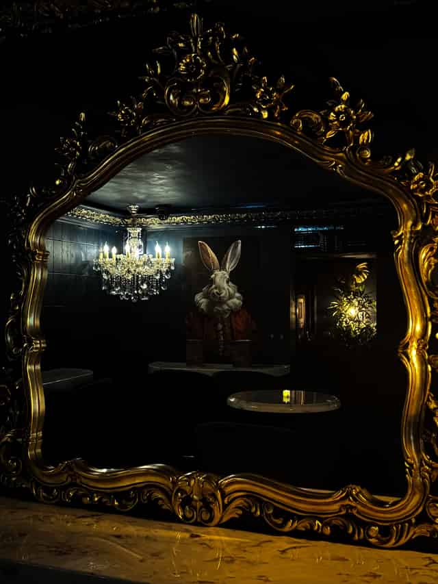 The Rabbit's Hole 