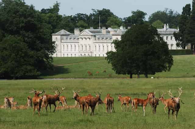 DEER PARK TOUR & DINNER