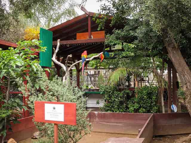 Vibrant outdoor venue with lush greenery for unique events in Live Love Play LA.