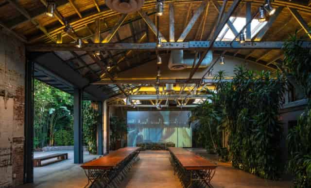 Garden Courtyard
