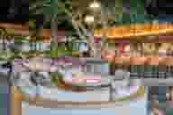 Drinks Venues