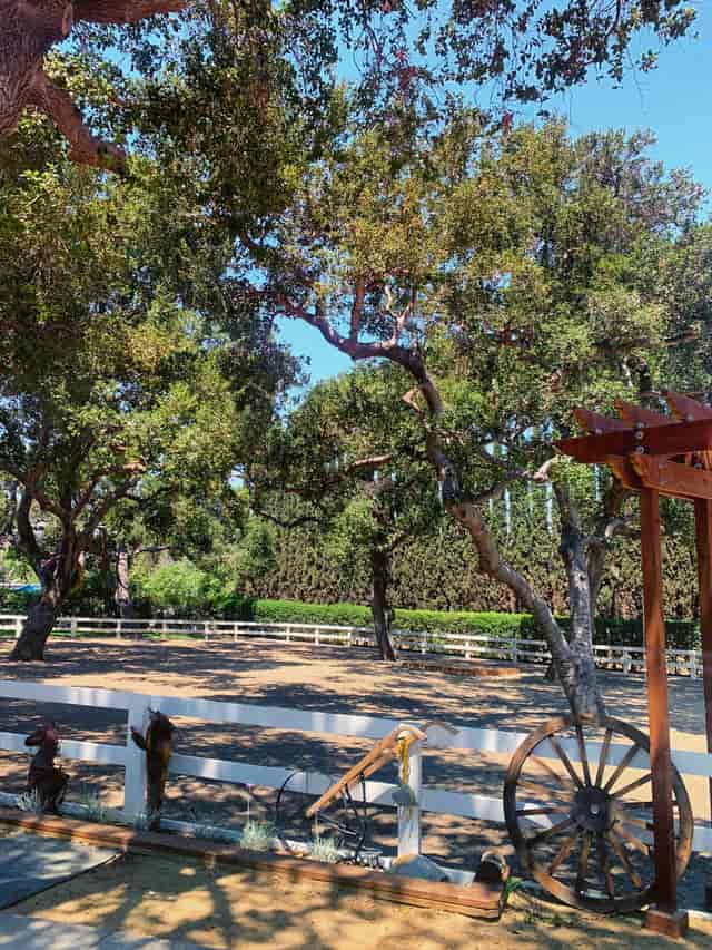 Serene Rancho Los Felix ranch venue with lush trees, ideal for weddings and events.