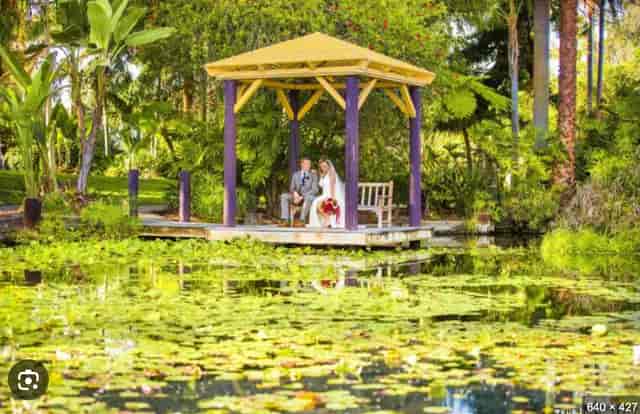 Lagoon Gazebo at The Point: serene wedding venue with lush greenery and tranquil water.