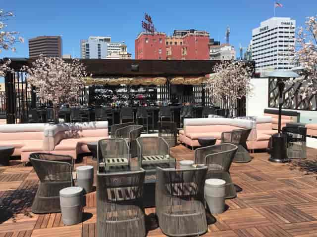 Stylish rooftop deck with cherry blossoms, perfect for events and gatherings.