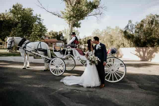 Romantic outdoor wedding with couple kissing by horse-drawn carriage at Harmony Estate.