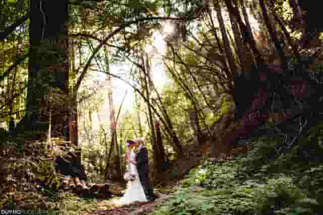 Woodland Venue