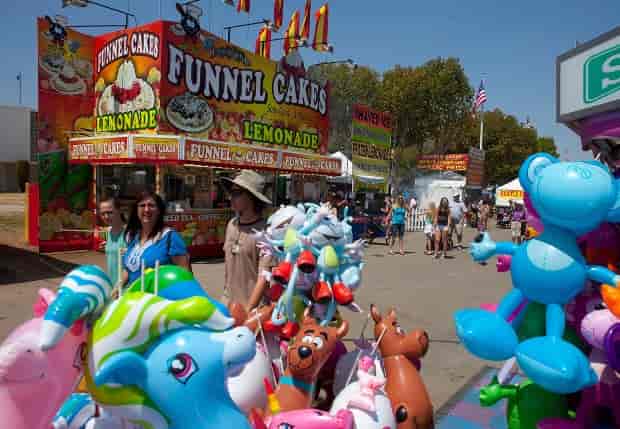 Vibrant Santa Clara County Fairgrounds concert lawn, ideal for outdoor events and gatherings.