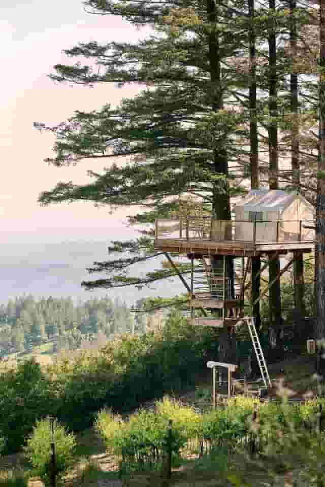 Tree House