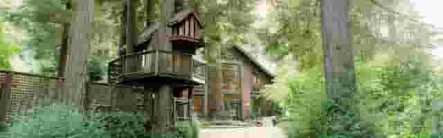 Tree House