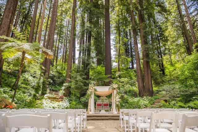 Alice & Wonderland Table at Nestldown, outdoor wedding venue with redwoods and greenery.