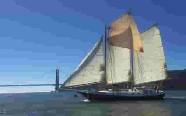Bay Lights Charters