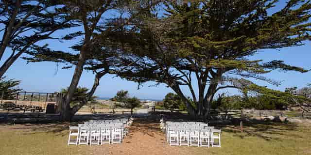 Grand Cypress Meadow at Asilomar: serene outdoor wedding venue with white chairs and trees.