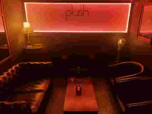 Plush Oxford