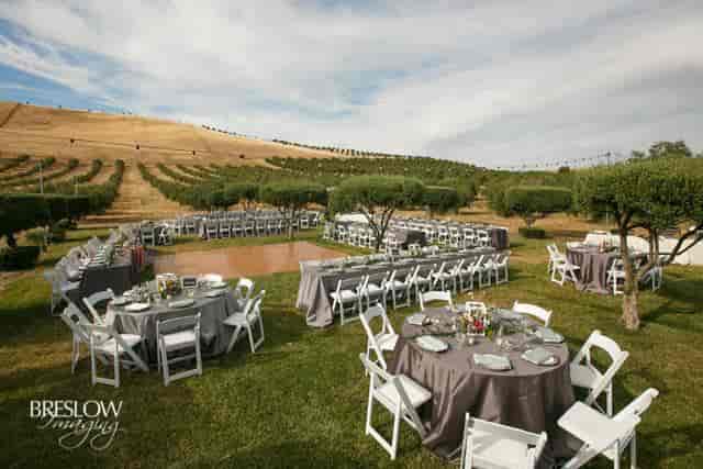 Rose Garden at Purple Orchid Resort, elegant outdoor wedding venue with vineyard backdrop.