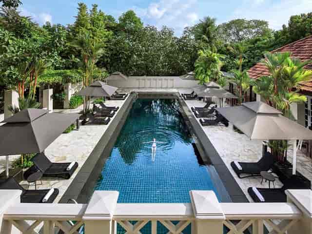 Hybrid meetings at Sofitel Singapore with serene outdoor pool and lush greenery.