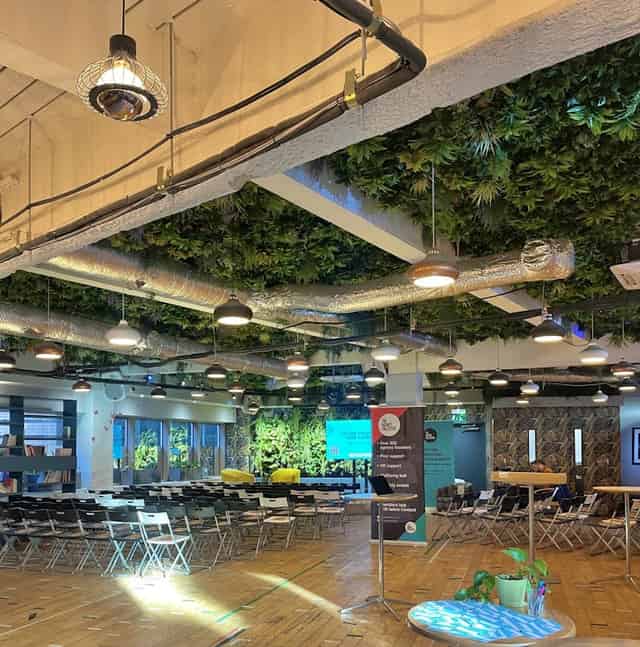 Main Lounge