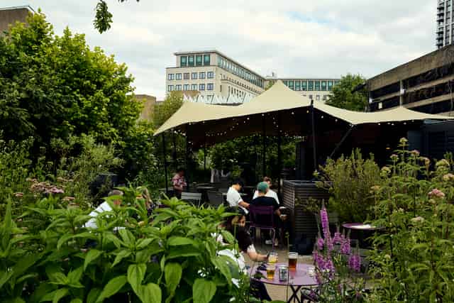 Queen Elizabeth Hall Roof Garden