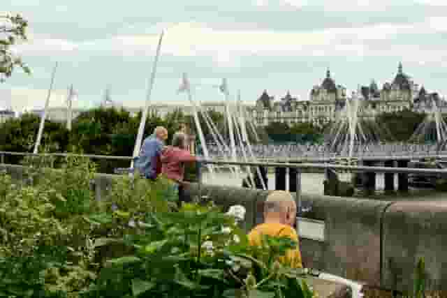 Queen Elizabeth Hall Roof Garden