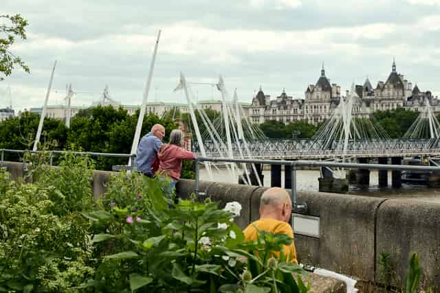 Queen Elizabeth Hall Roof Garden