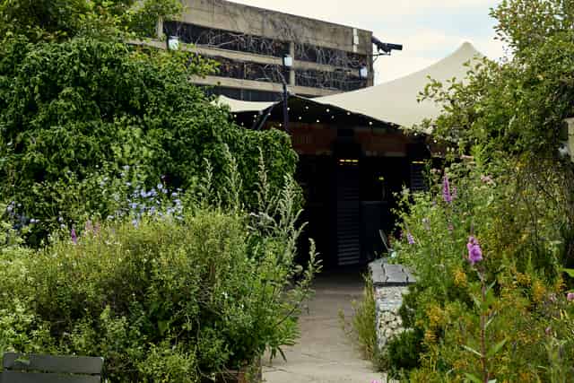 Queen Elizabeth Hall Roof Garden