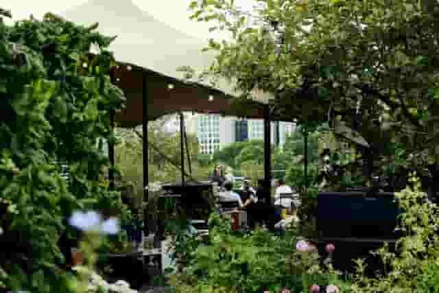 Queen Elizabeth Hall Roof Garden
