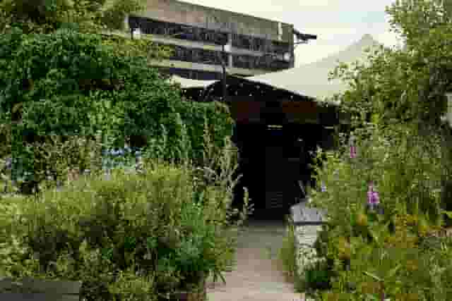 Queen Elizabeth Hall Roof Garden