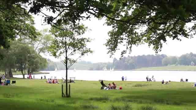 Play Area in Tatton Park with lush greenery, ideal for picnics and team-building events.