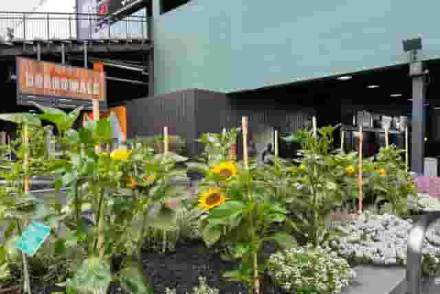 The Garden