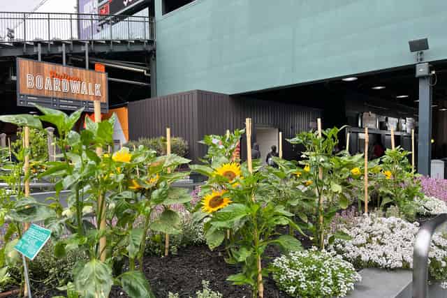 The Garden