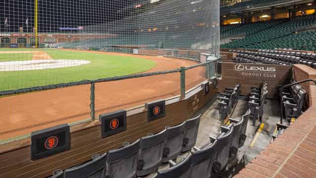 Premium Seating