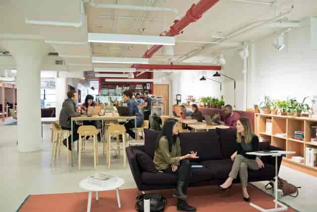 Vibrant coworking space with greenery, ideal for meetings and networking events.