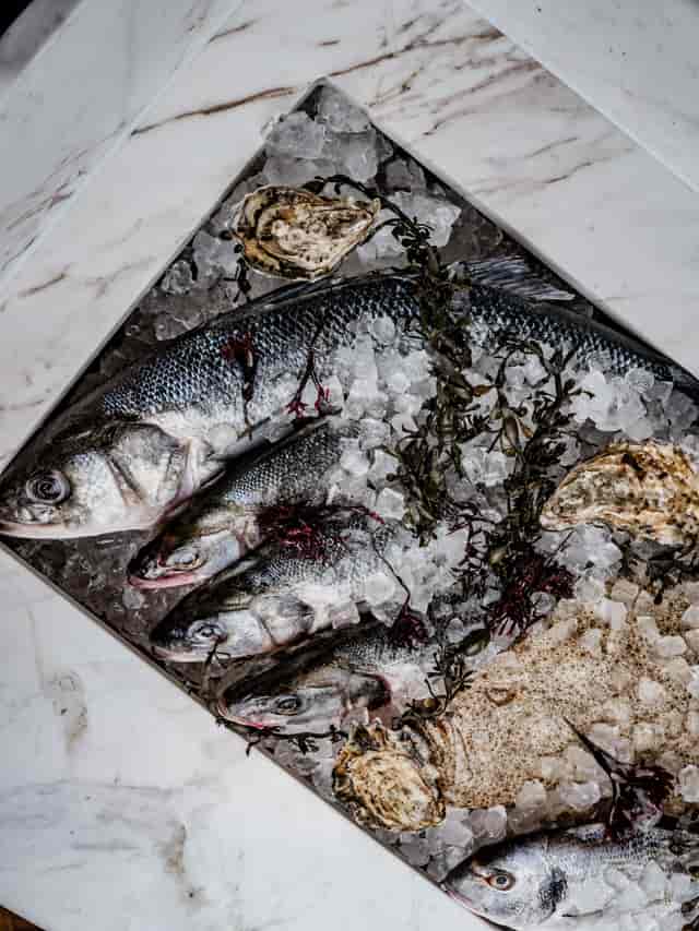 Private dining seafood display at Kima Restaurant, showcasing fresh fish on ice.
