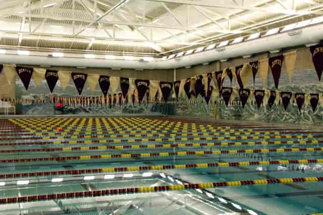 Indoor swimming pool with vibrant lane markings, ideal for swim meets and competitions.