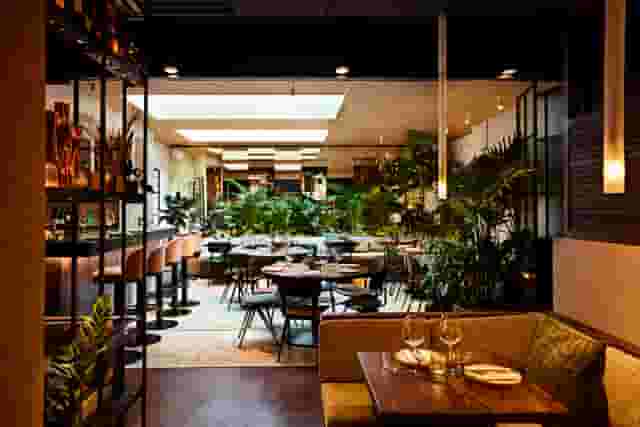 Carmel Fitzrovia