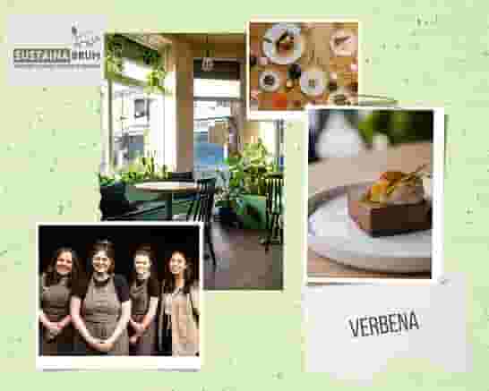 Verbena