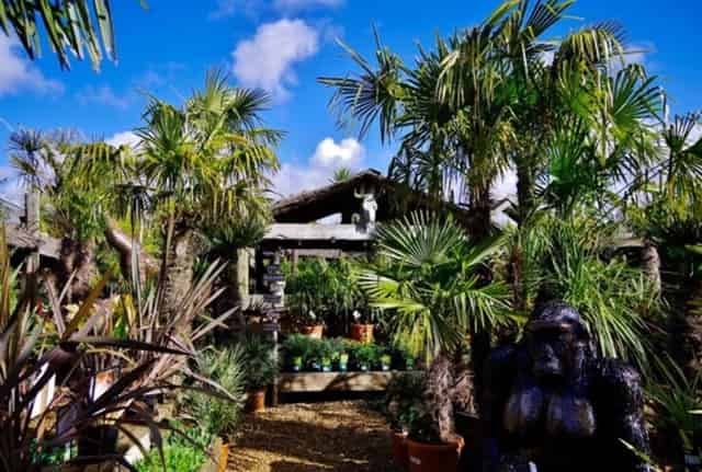 Outdoor Restaurant