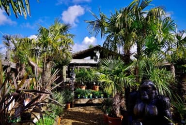 Unusual Venues