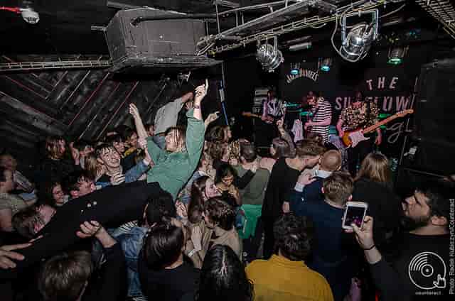 Vibrant live music event at Basement Bar, packed crowd enjoying an intimate atmosphere.