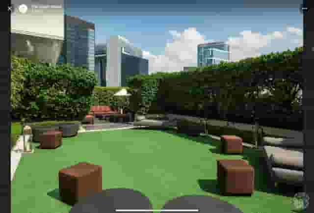 The Lawn