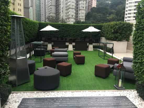The Lawn