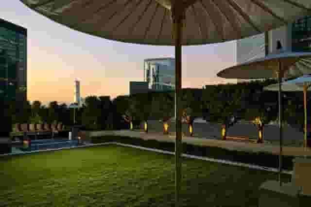 The Lawn