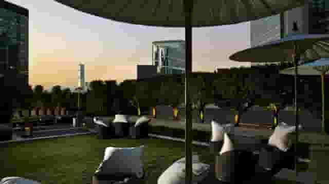 The Lawn