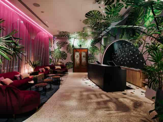 Vibrant Ovolo Hotels lobby with lush greenery, perfect for creative meetings and events.