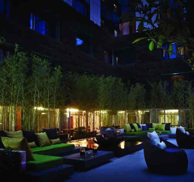 Stylish outdoor bar with lush greenery, ideal for networking events and receptions.